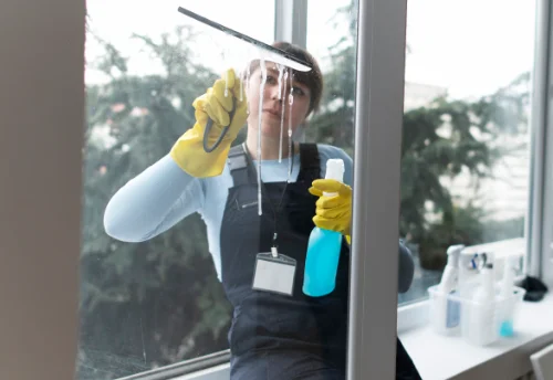 Nettoyage de vitres intérieures et extérieures à Aubigny-en-Plaine